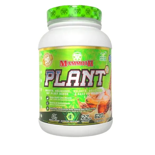 Mammoth Plant / Cold brew coffee