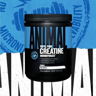 Animal Creatine / 300g
