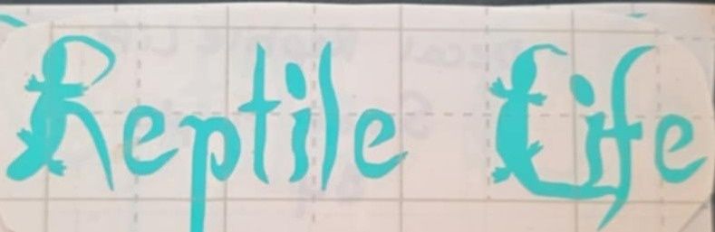 Decal Reptile Life, Colour: Teal, Size: Small Approx. 4&quot; Wide X 1.5&quot; Long
