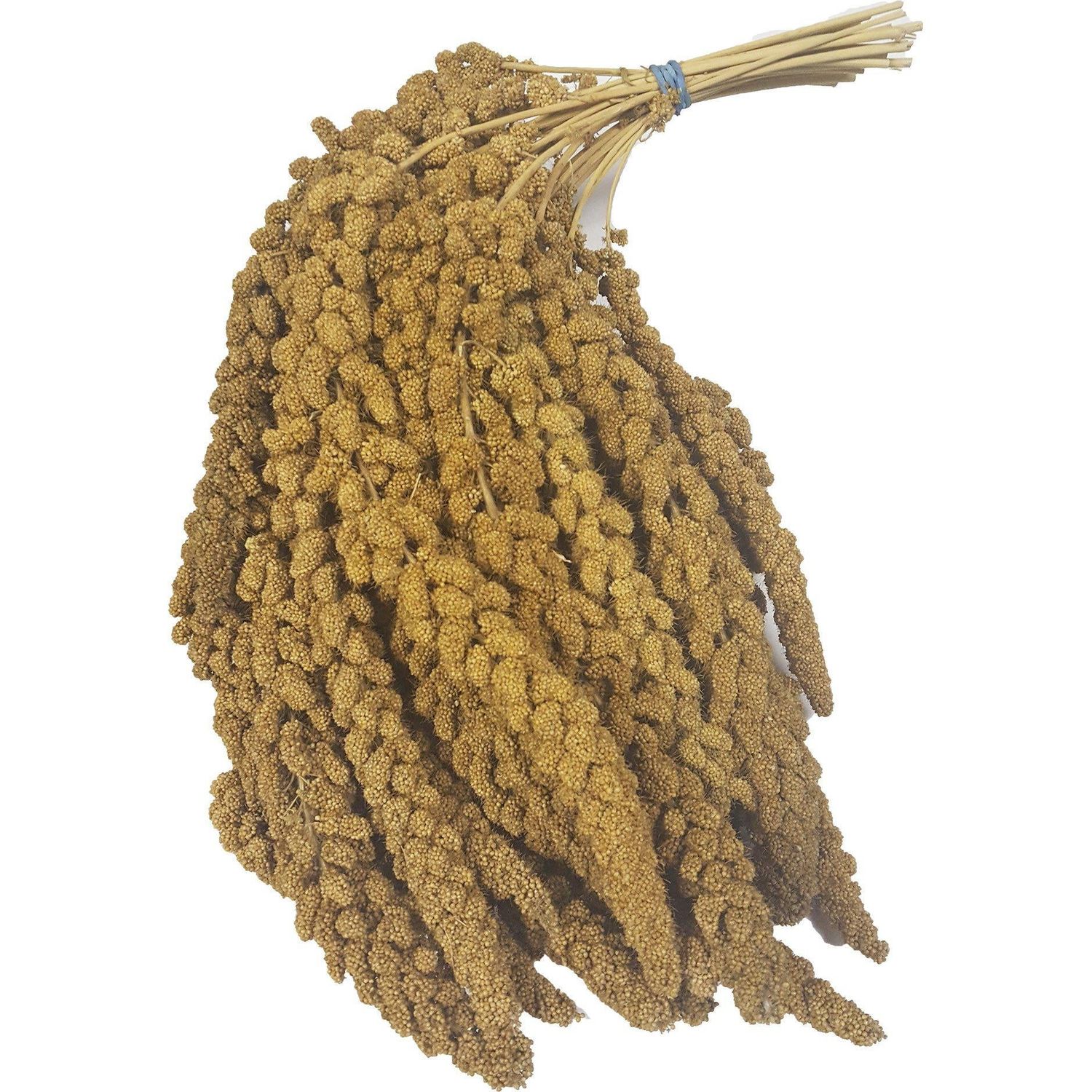 1/2 LB. Spray Millet for Birds
