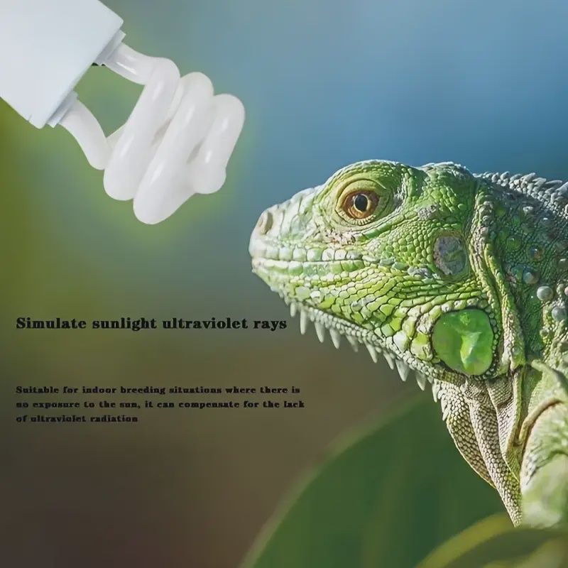 26W UVA/UVB HEAT 10.0 BULB