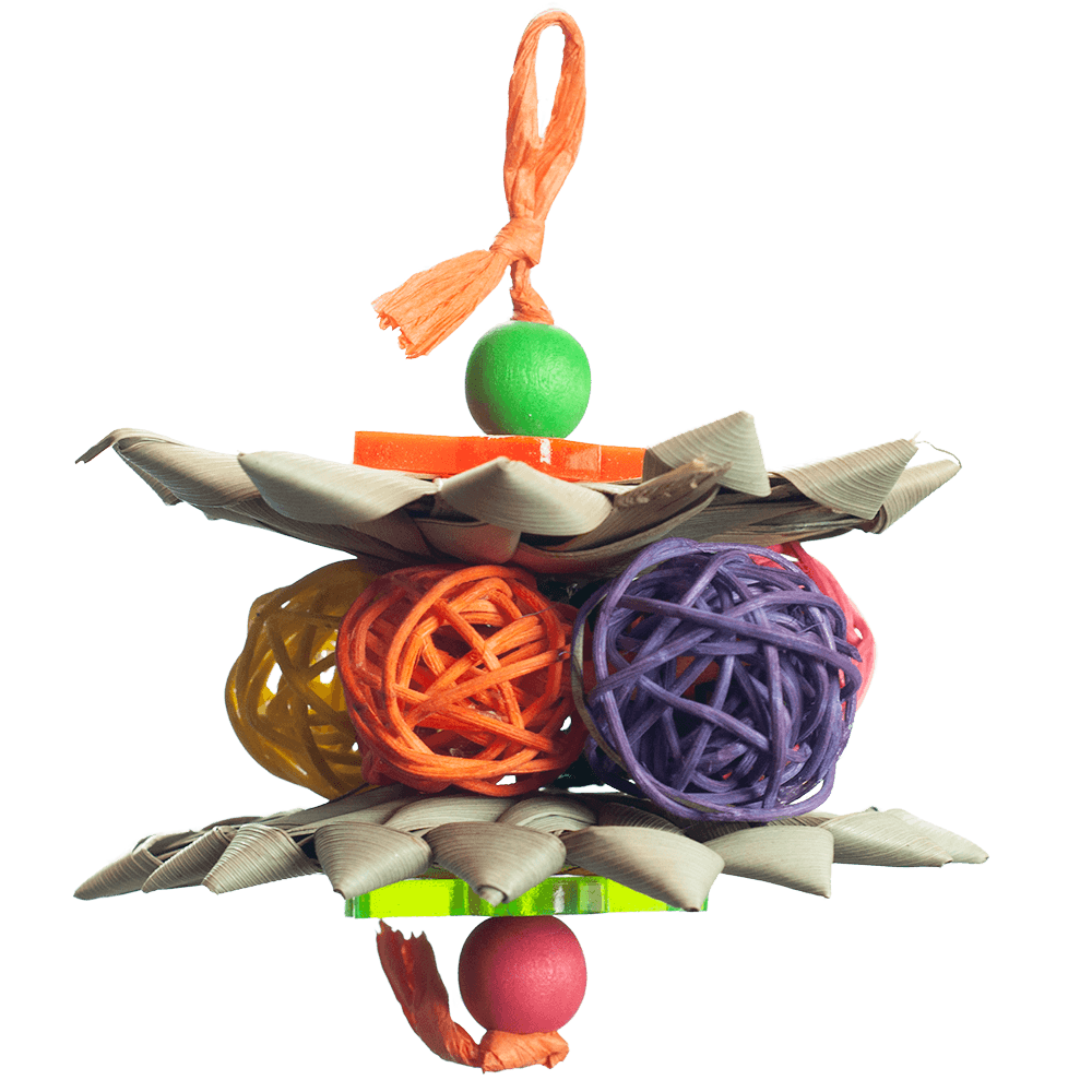 A&amp;E &quot;Nibbles&quot; Single Palm Star Stacks Chew Toy NB057