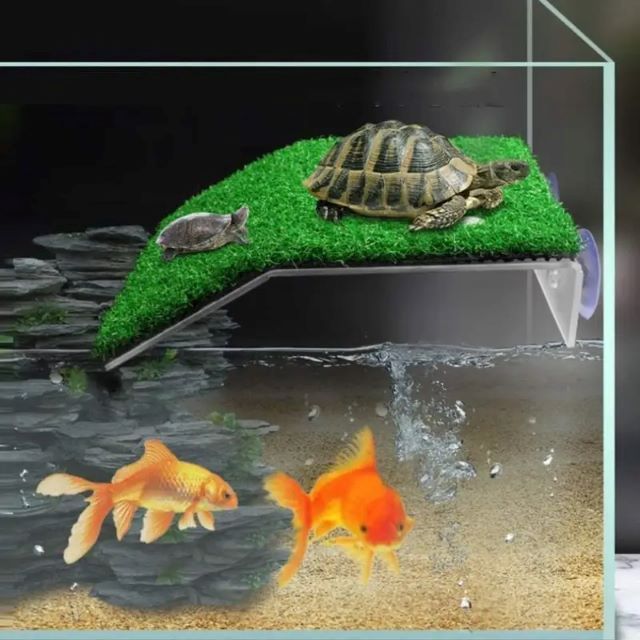 Basking Platform Grass Suction