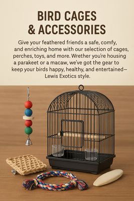 BIRD CAGES AND CAGE ACCESSORIES