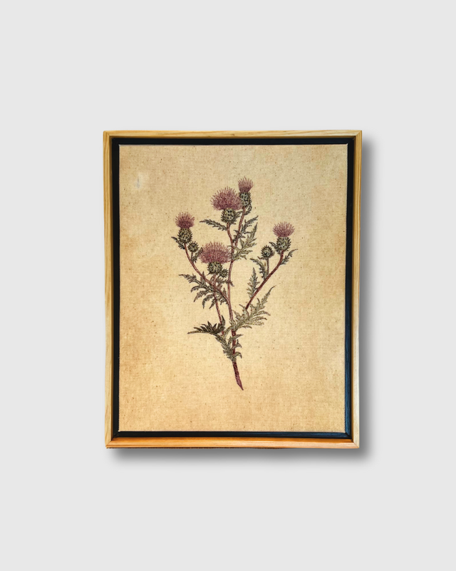 Thread Art-Plume Thistle