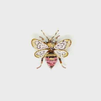 Brooch Pin-Bombus Bee