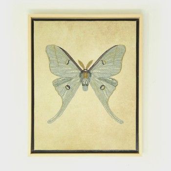 Thread ArtLuna Moth
