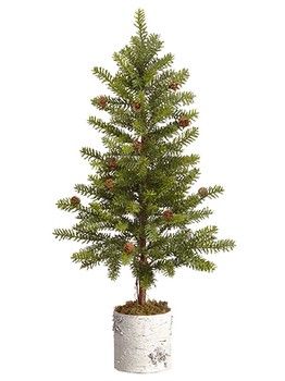 ChrisTree-Pinetree in Pot-40in