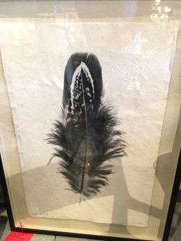 Wall Art-Feather III