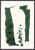 Wall Art-Monolith Rendition II Emerald-28x40