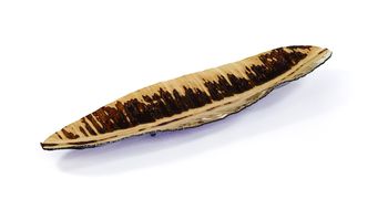Center Piece-Glass-Banana Leaf