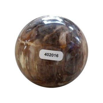 Ball-Petrified Wood-L