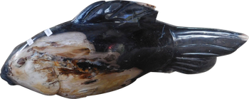 Sculpture-Fish-Petrified Wood-M