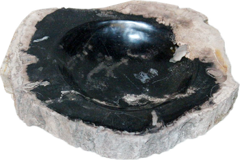 Bowl-Petrified Wood I