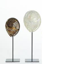 Shell-Avalone