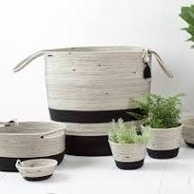 Basket-Liquorice-Lidded