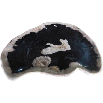 Plate-Black-Petrified Wood-M
