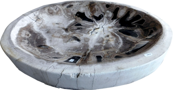 Bowl-Petrified Wood IV