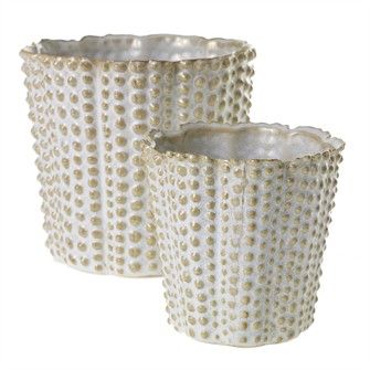 Pot-Nilly-7x6.5