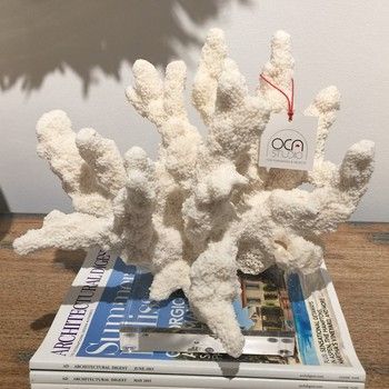 Coral-Catspaw L