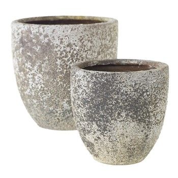 Pot-Felix-6.75x6.5