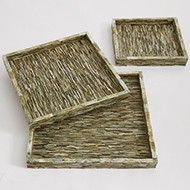 Tray-Bone-Chiseled Forest