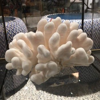 Coral-Catspaw M