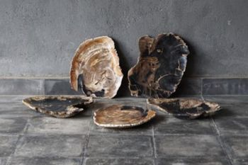 Tray-Petrified Wood-Irregular