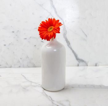 Vase-Ceramic-White-Bottle