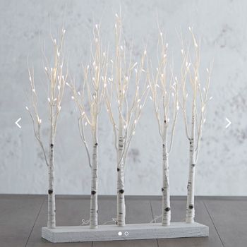 ChrisOrn-Lighted Grove-Birch-30 in