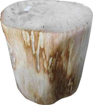 Stool-Petrified Wood II