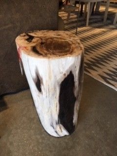 Stool-Petrified Wood-Polished