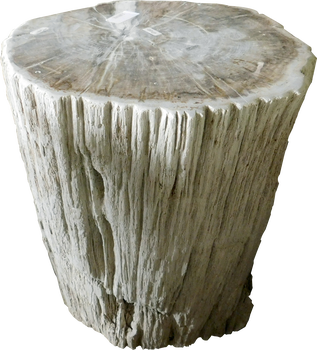 Stool-Petrified Wood III