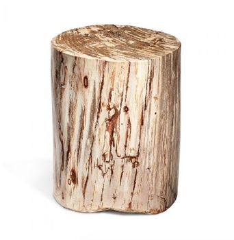Side Table-Petrified Wood-Tall