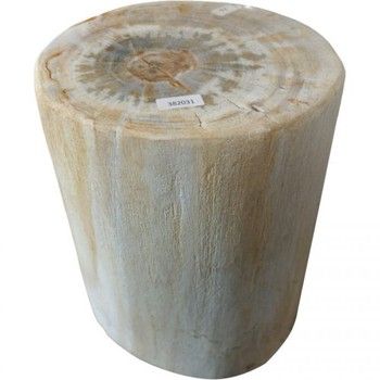 Stool-White Petrified Wood-Mini