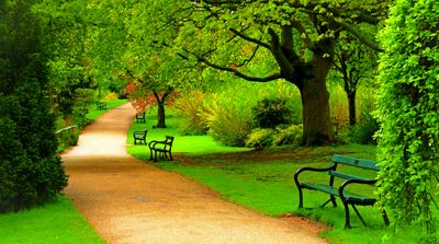 Nature as a Performance Tool