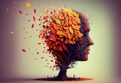 Learning &amp; Memory Facts