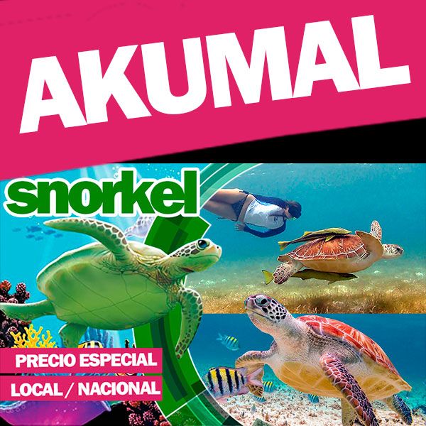 Snorkel en Akumal Snorkel en Akumal