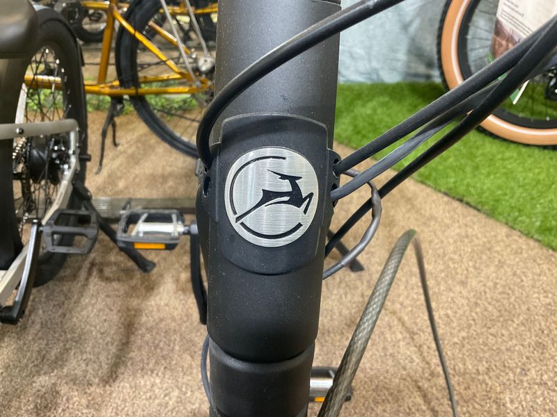 Gazelle