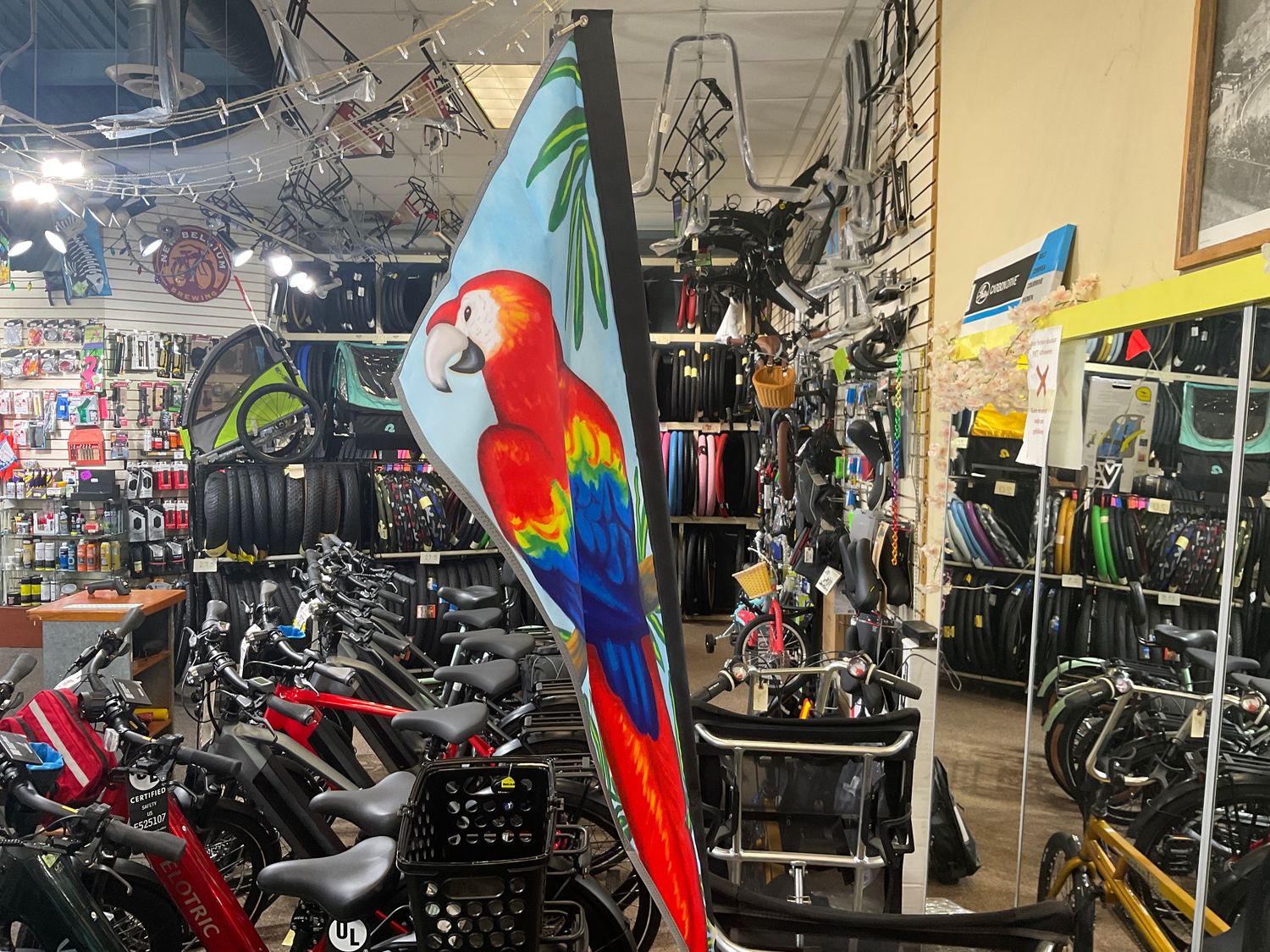 SAFETY FLAGS PREMIER APEX PARROT