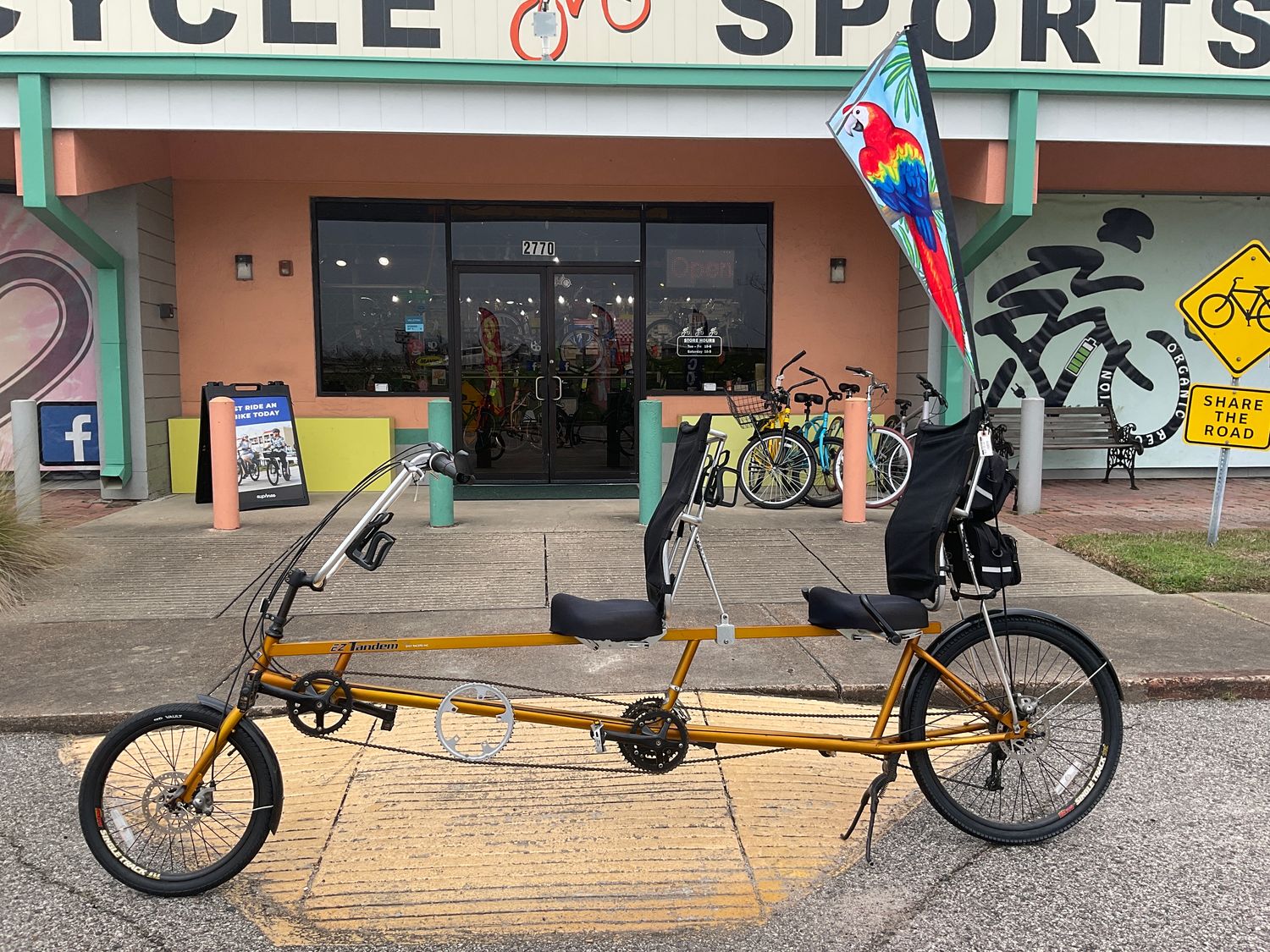 Sun Recumbent Tandem