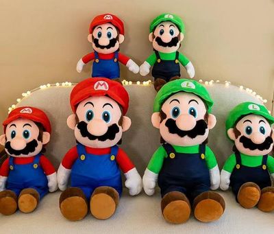 The Mario Bro