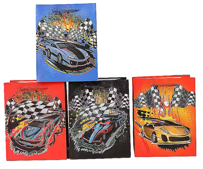 Hot wheels - Race Car Gift Bag Boys/Men any celebration