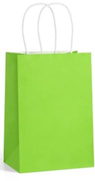 Lime Green Paper Gift Bags - 5 bags/ Pack