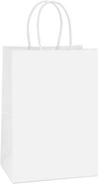White Paper Gift Bags - 5 bags/ Pack