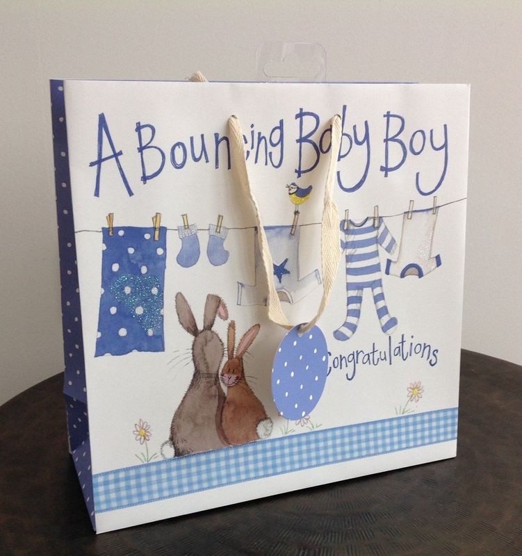 Blue Washing Line Small Gift Bag