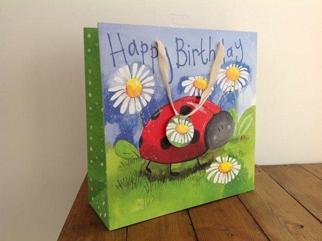 Little Ladybird Large Gift Bag