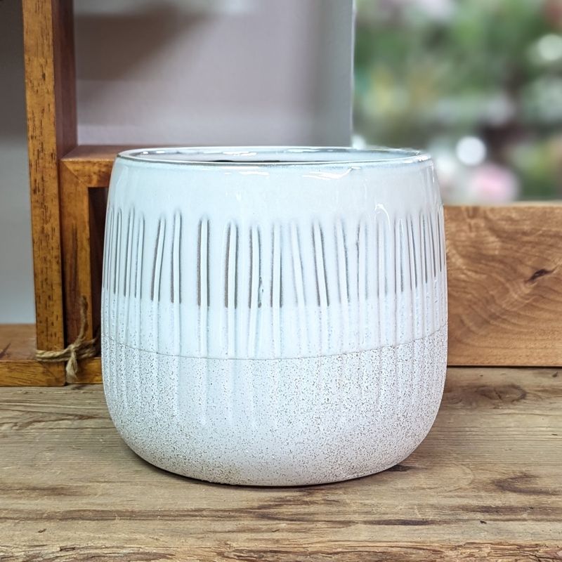 6&quot; White With Glazed Rim Pot