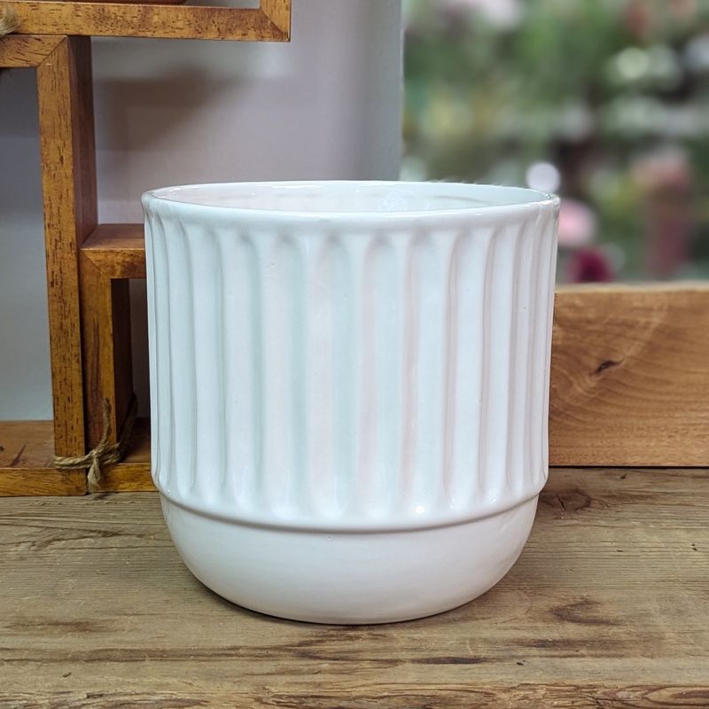 6&quot; White Ribbed Pot