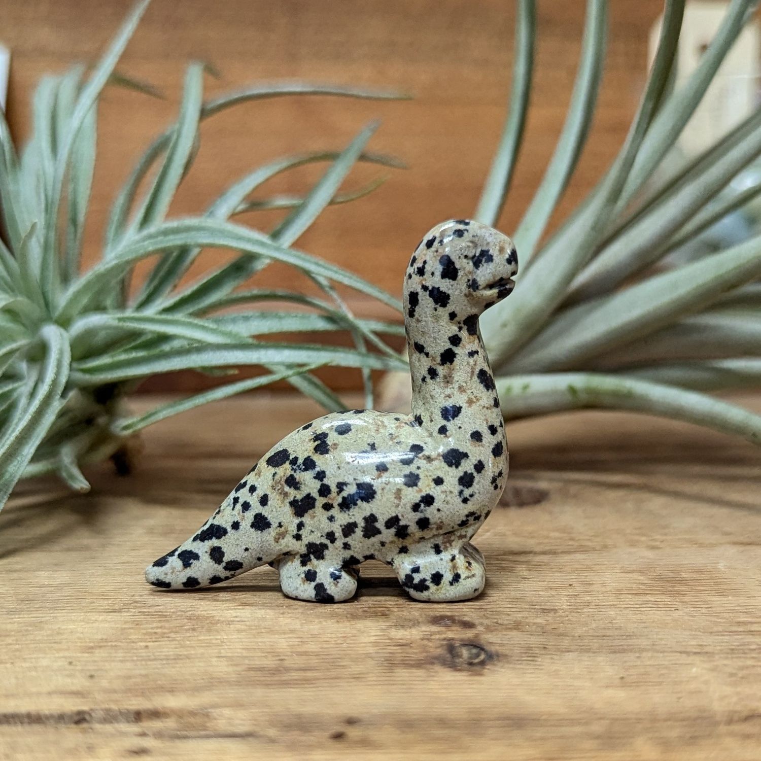Carved Gemstone Dinosaur, Stone: Dalmation Jasper